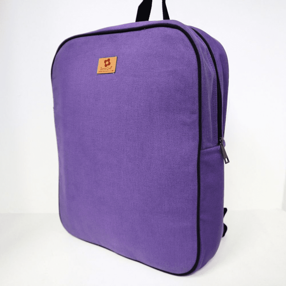 Smart Design, Tough Build: Canvas Backpack with Laptop Chamber