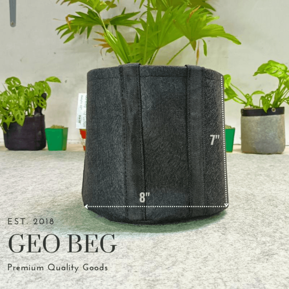 Premium Quality GEO Bag 02 Gallon ( DIa 8" Hight 7" ) -1 PCS / Plant Grow Bags, Synthetic Pot
